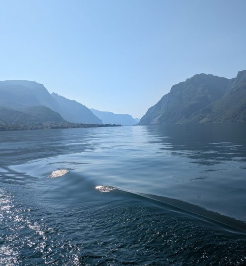 PXL_20260623_075212582.MP